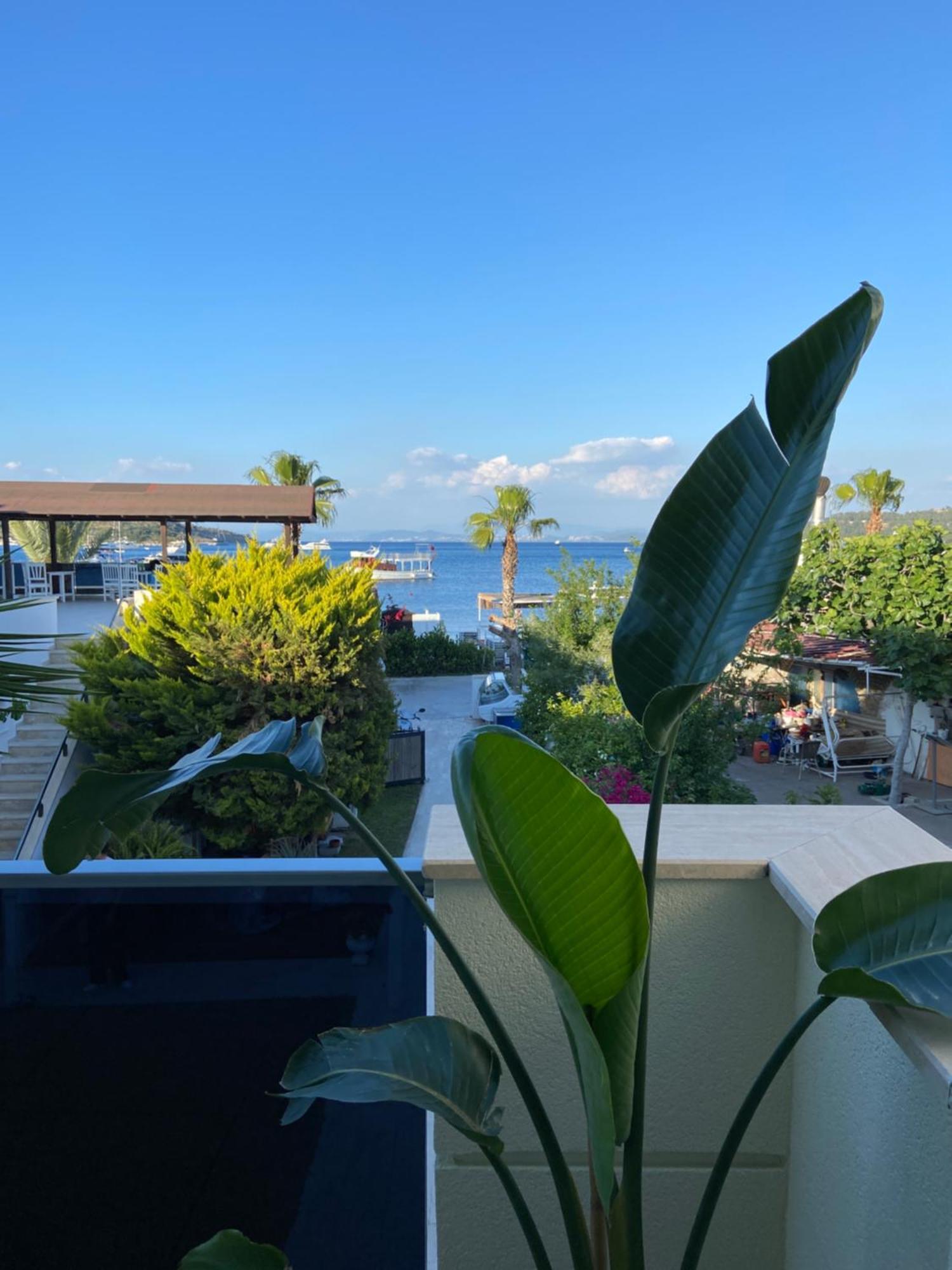 Eda Motel Göltürkbükü Dış mekan fotoğraf
